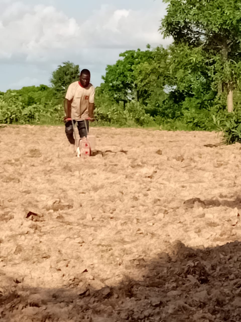 Youth-Led Rice Seed Production in Northern Ghana