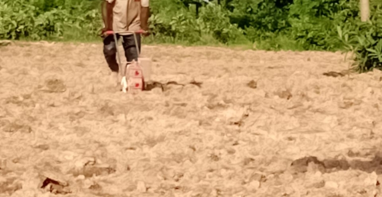 Youth-Led Rice Seed Production in Northern Ghana