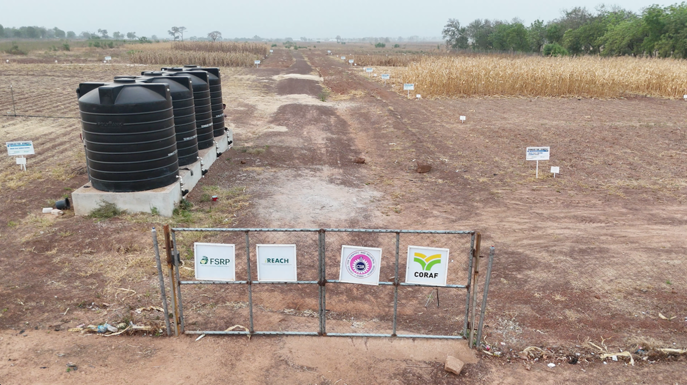 When the Harvest Ends, Innovation Continues: A Dry-Season Story from the CSIR-SARI Technology Park